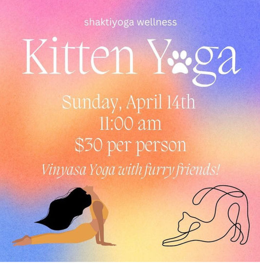 Kitten Yoga 4/14/24